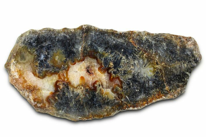 Polished Trent Agate With Stibnite & Realgar - Oregon #378035